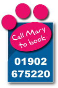 Call mary from Woodfarm Kennels and Cattery